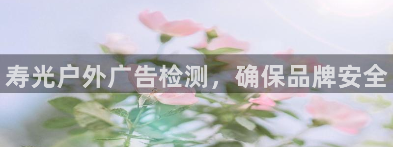 杏宇平台代理怎么赚钱快