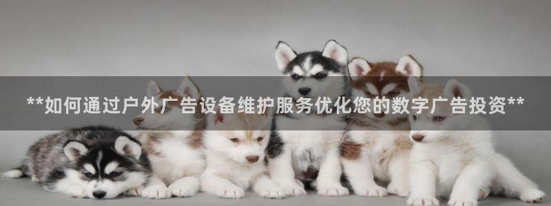 杏宇平台开户
