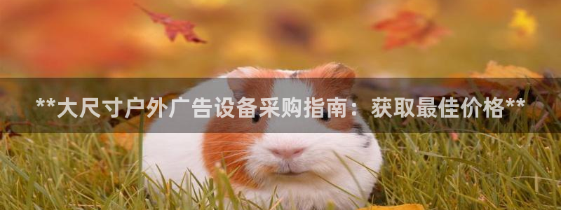 杏宇平台代理怎么样啊