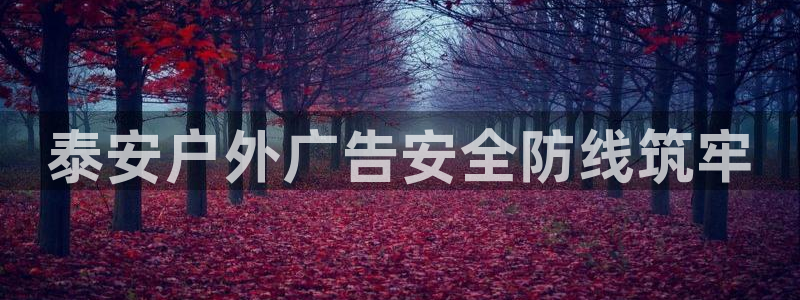 杏宇平台代理怎么赚钱