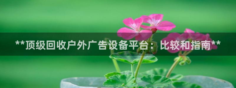 杏宇平台总代理电话