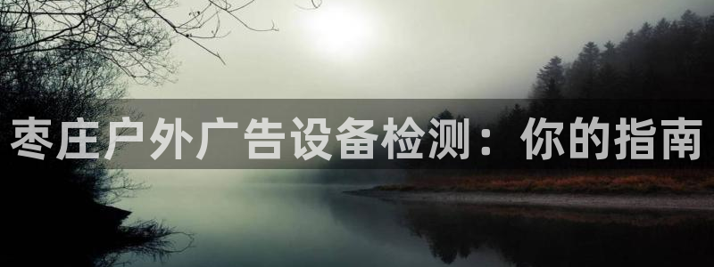 杏宇平台提现为什么这么久呢：枣庄户外广告设备检测：你的指南