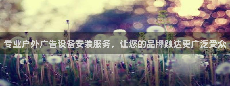 杏宇平台代理多少钱一个月