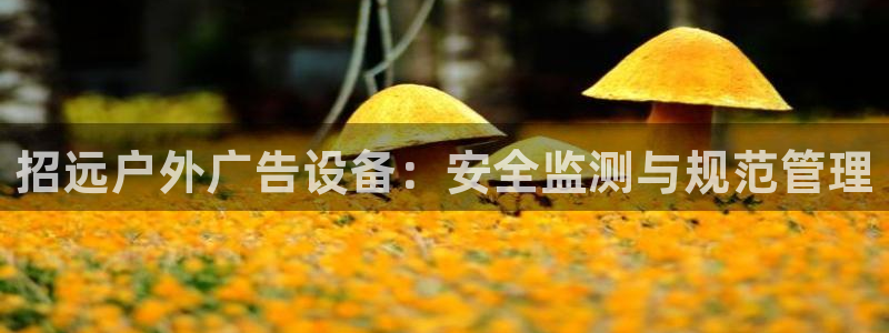杏宇平台代理怎么样可靠吗