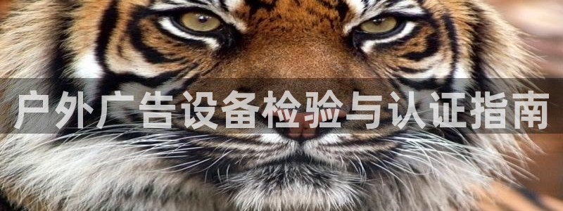 杏宇官方平台官网
