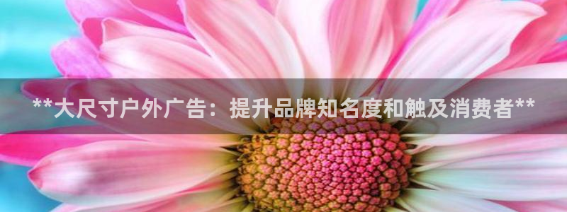 杏宇官方平台官网入口