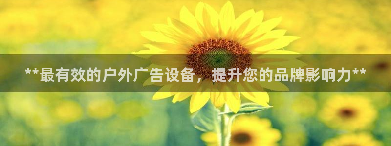 杏宇平台代理怎么赚钱快：**最有效的户外广告设备，提升您的品牌影响力**