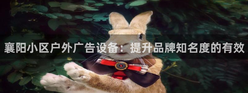 杏宇平台提现为什么这么久呢：襄阳小区户外广告设备：提升品牌知名度的有效