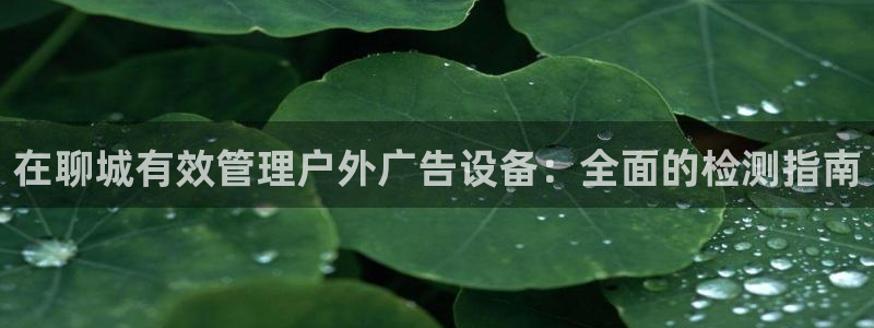 杏宇平台代理多少钱一个：在聊城有效管理户外广告设备：全面的检测指南