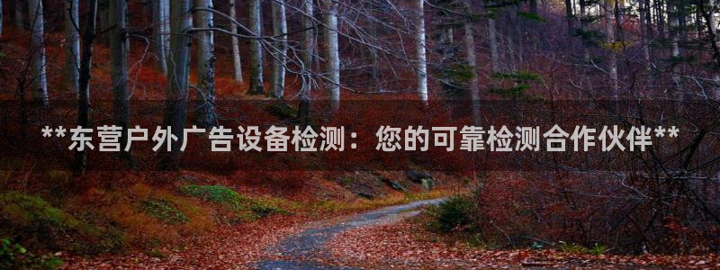 杏宇平台代理多少钱一个月：**东营户外广告设备检测：您的可靠检测合作伙伴**