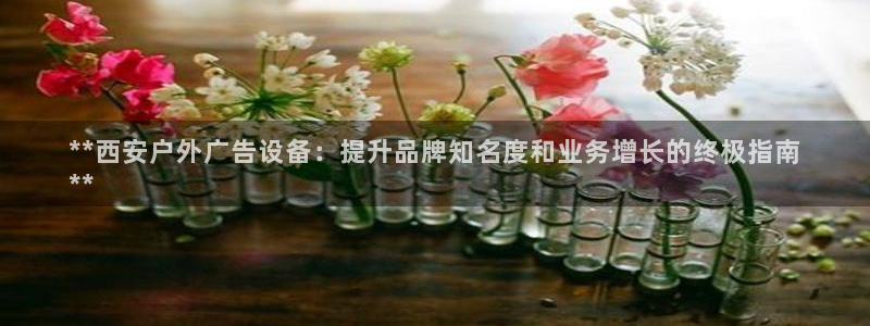 杏宇平台代理怎么样可靠吗：**西安户外广告设备：提升品牌知名度和业务增长的终极指南
**