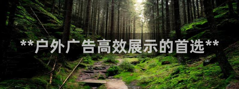杏宇平台主管：**户外广告高效展示的首选**