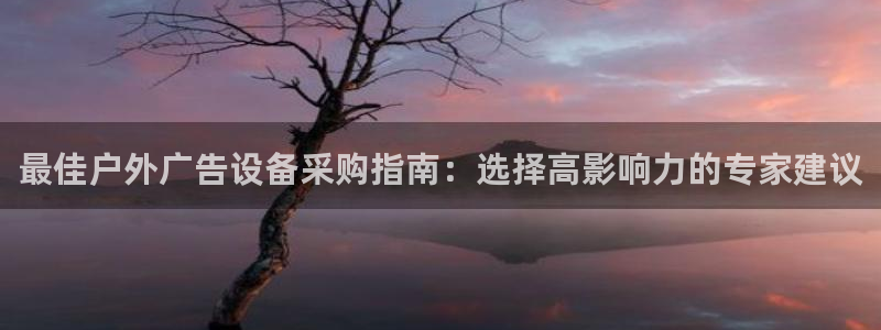 杏宇平台招商：最佳户外广告设备采购指南：选择高影响力的专家建议