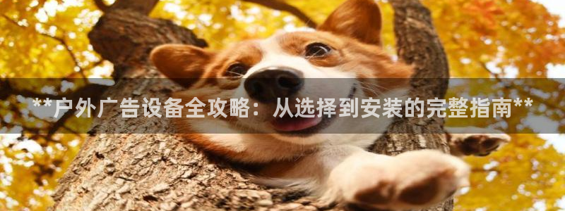 杏宇平台代理多少钱一个：**户外广告设备全攻略：从选择到安装的完整指南**