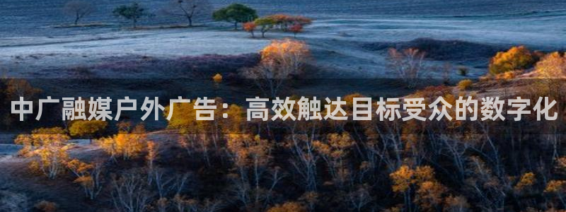 杏宇平台代理怎么样赚钱：中广融媒户外广告：高效触达目标受众的数字化