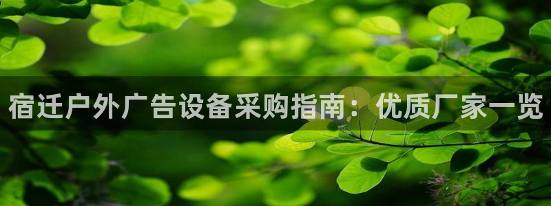 杏宇平台登录方法：宿迁户外广告设备采购指南：优质厂家一览