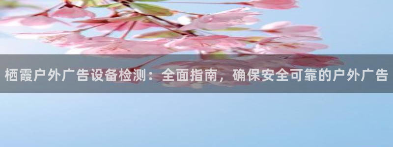 杏宇平台代理怎么赚钱快：栖霞户外广告设备检测：全面指南，确保安全可靠的户外广告