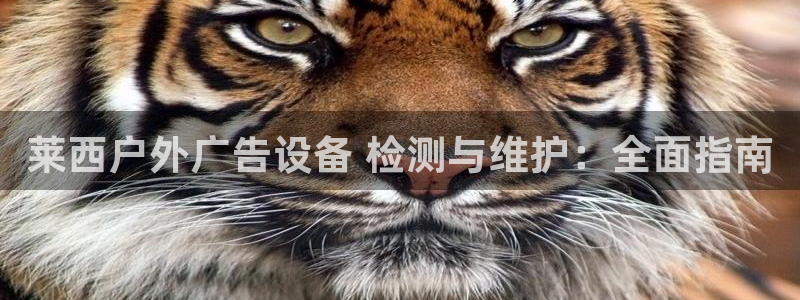 杏宇平台客服：莱西户外广告设备 检测与维护：全面指南