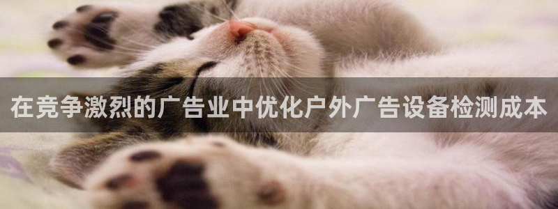 杏宇平台代理：在竞争激烈的广告业中优化户外广告设备检测成本