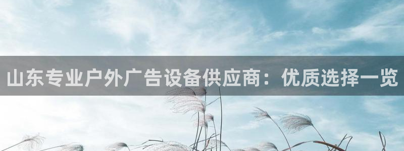 杏宇平台怎么样赚钱：山东专业户外广告设备供应商：优质选择一览