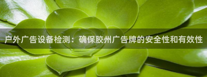 杏宇平台代理怎么样可靠吗：户外广告设备检测：确保胶州广告牌的安全性和有效性