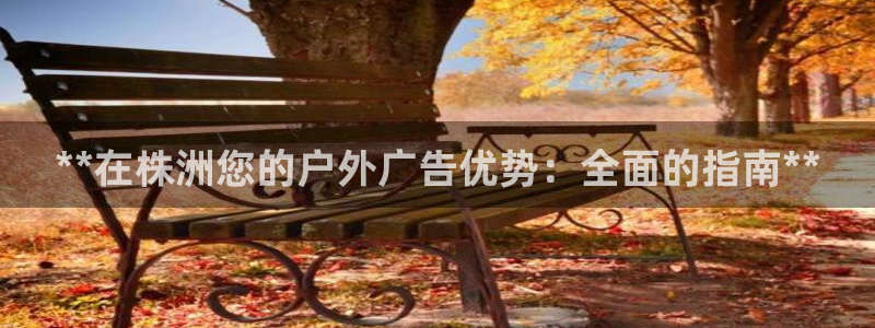 杏宇平台怎么样知乎：**在株洲您的户外广告优势：全面的指南**