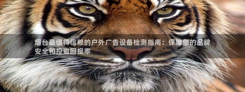 杏宇平台总代理电话：烟台最值得信赖的户外广告设备检测指南：保障您的品牌
安全和投资回报率