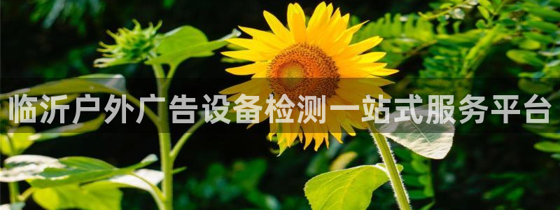 杏宇平台登录步骤：临沂户外广告设备检测一站式服务平台