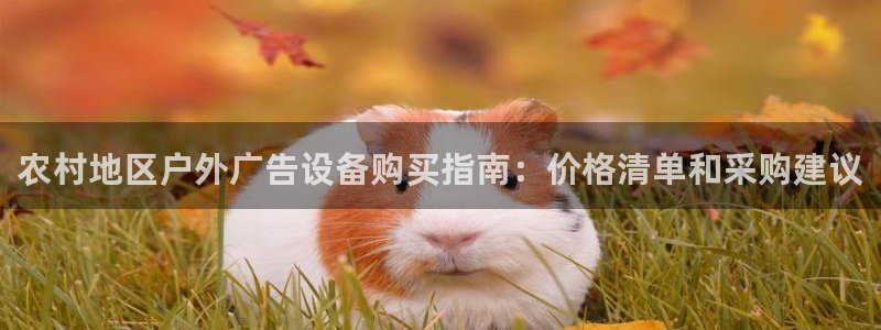 杏宇平台代理：农村地区户外广告设备购买指南：价格清单和采购建议