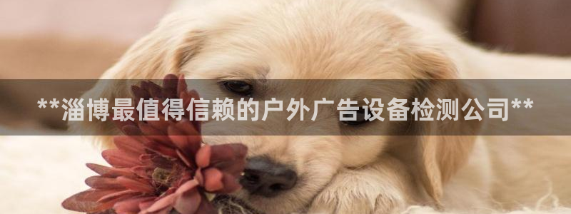杏宇平台提现为什么这么久呢：**淄博最值得信赖的户外广告设备检测公司**