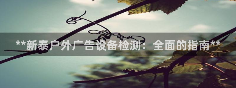 杏宇平台总代理是谁：**新泰户外广告设备检测：全面的指南**