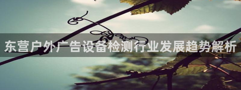 杏宇平台代理多少钱一次：东营户外广告设备检测行业发展趋势解析