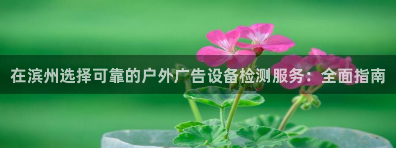 杏宇平台好吗：在滨州选择可靠的户外广告设备检测服务：全面指南