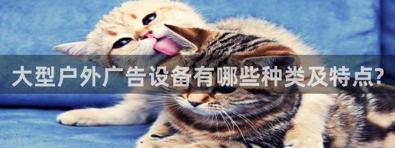 杏宇官方平台官网下载：大型户外广告设备有哪些种类及特点?