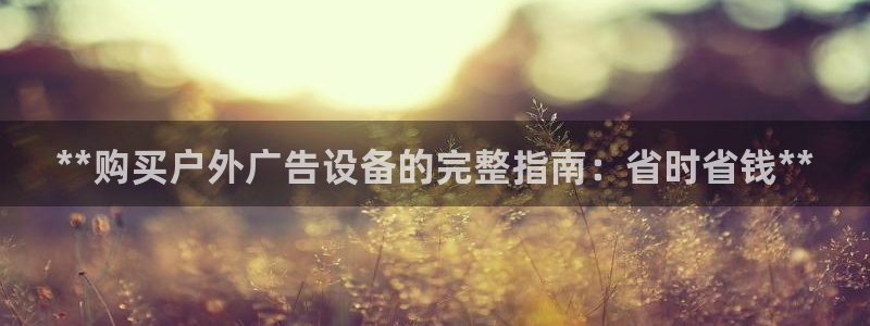 杏宇平台总代理：**购买户外广告设备的完整指南：省时省钱**