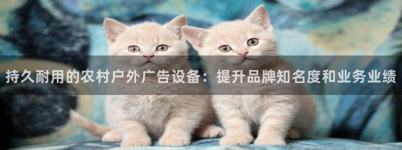 杏宇平台总代理：持久耐用的农村户外广告设备：提升品牌知名度和业务业绩