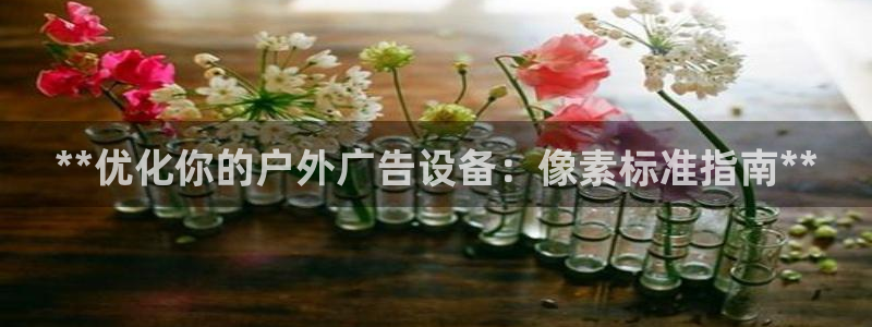 杏宇平台代理：**优化你的户外广告设备：像素标准指南**