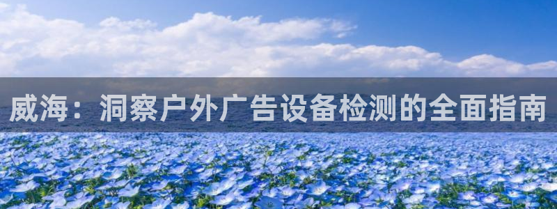 杏宇平台怎么样：威海：洞察户外广告设备检测的全面指南