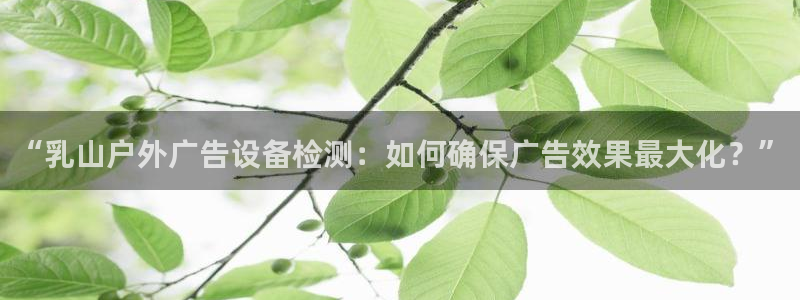杏宇平台总代理是谁：“乳山户外广告设备检测：如何确保广告效果最大化？”