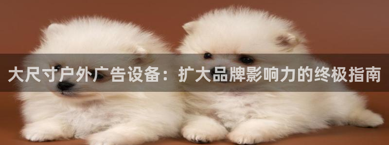 杏宇平台总代理：大尺寸户外广告设备：扩大品牌影响力的终极指南