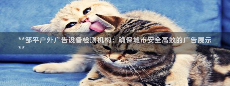 杏宇平台总代理是谁：**邹平户外广告设备检测机构：确保城市安全高效的广告展示
**