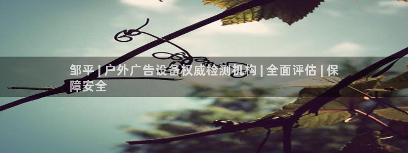 杏宇平台提现为什么这么久呢：邹平 | 户外广告设备权威检测机构 | 全面评估 | 保
障安全