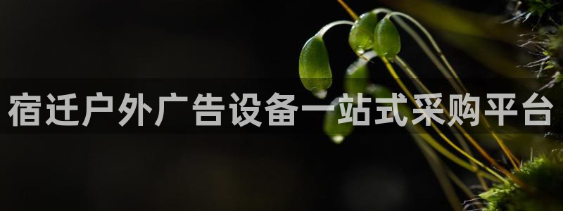 杏宇平台注册地址：宿迁户外广告设备一站式采购平台