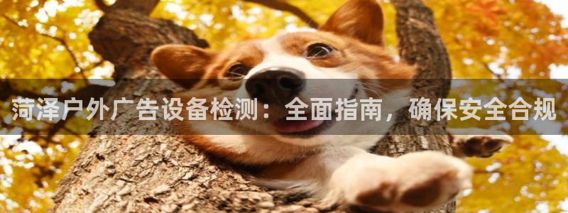 杏宇平台代理怎么赚钱的：菏泽户外广告设备检测：全面指南，确保安全合规