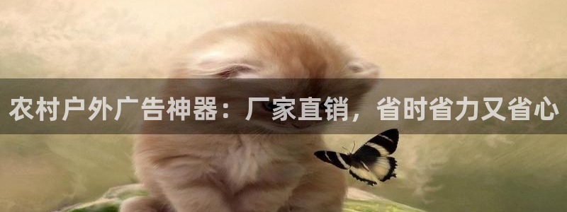 杏宇平台代理多少钱一个：农村户外广告神器：厂家直销，省时省力又省心