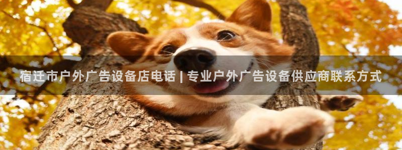 杏宇官方平台官网入口：宿迁市户外广告设备店电话 | 专业户外广告设备供应商联系方式