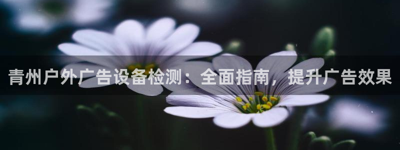 杏宇平台招商怎么样：青州户外广告设备检测：全面指南，提升广告效果