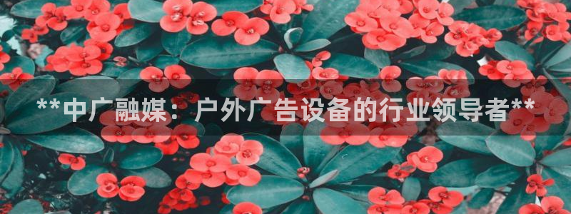 杏宇平台怎么样