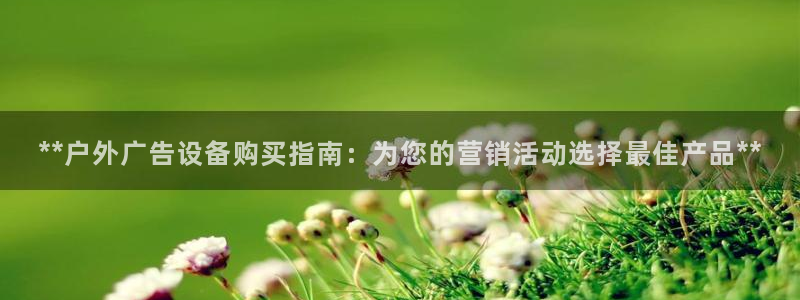 杏宇平台是什么：**户外广告设备购买指南：为您的营销活动选择最佳产品**
