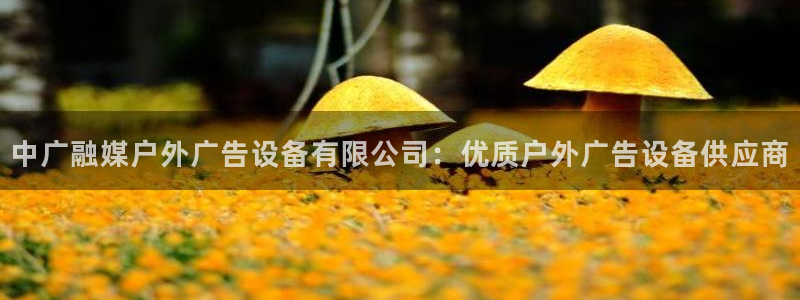 杏宇平台客服：中广融媒户外广告设备有限公司：优质户外广告设备供应商